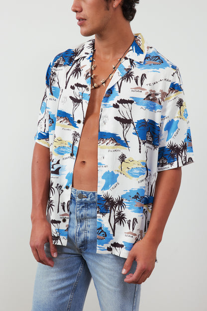 Person wearing a colorful Hawaiian shirt with palm tree and beach design on a plain background